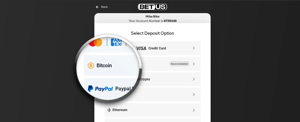 Payment methods page in black and white with enlarged Amex, Bitcoin and PayPal logos in color