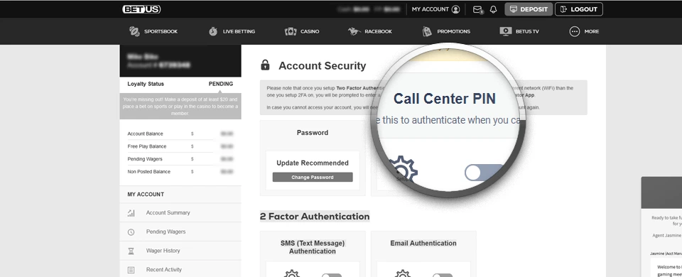 Screenshot of the account security page in greyscale with enlarged Call Center PIN option