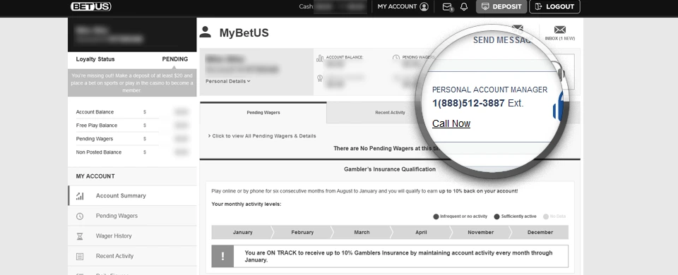 Players account page in greyscale with enlarged telephone number for personal account manager