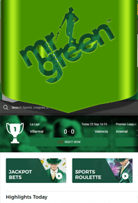 Mr Green's UK Sports Betting site 2024